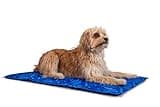 TrendPet Arctic Comfort - 20mm Premium Kühlmatte für Hunde 5 Größen, Extra Dick (60x45cm)