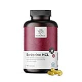 HealthyWorld® Berberin HCL 500 mg - Blutzucker- und Triglyceridunterstützung - Glukosekontrolle - 180 Pflanzenkapseln, 6 Monatsvorrat - Berberis Aristata Extrakt - Hochdosiert