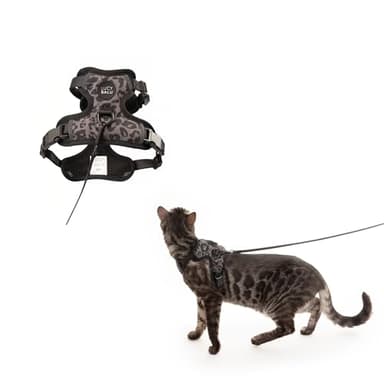 LucyBalu® Explorer Katzengeschirr mit Leine | ausbruchsicheres Katzengeschirr mit AirTag Fach | Katzen Brustgeschirr mit Katzenleine | Sicherheitsgeschirr mit Leine für Katzen | Leo XS/S