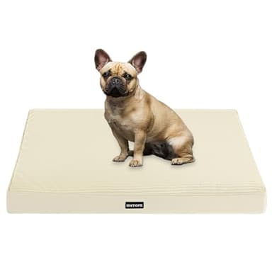 HMTOPE Orthopädisches Hundebett, 8cm Dicke Hundekissen für Kleine Hunde, Abnehmbar und Waschbar Hundematte, rutschfeste Unterseite, Wasserdichtes Innenfutter, 76 cm, Beige