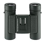 Eschenbach Optik Fernglas sektor F 10x25 compact+, faltbar, wasserdicht, grün