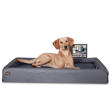 SABRO KUDDE Orthopädisches Hundebett – Martin Rütter – Hochwertiges Kunstleder – Waschbar & Wasserabweisend – Ergonomisch – Premium Haustierzubehör für Mittelgrosse, Grosse Hunde XL in Grau