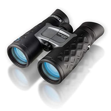 STEINER Fernglas BluHorizons 10x42 - Deutsche Marken-Qualität, 10 Jahre Garantie, Anpassung an Helligkeit, Schutz der Augen, 10-Fach Zoom, hochwertiges Urlaubs- und Reisefernglas
