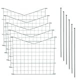ESTEXO Teichzaun Set mit 5 Zaunelementen und 6 Befestigungsstäben, Welpanauslauf, Metall, Gartenzaun, Freigehege, Teich, Zaun, Set, 5 Elemente, Gitterzaun (Unterbogen spitz)