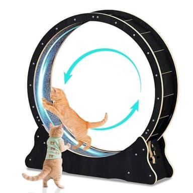 WUDLEP Katzen-Laufrad für Indoor-Katze, 100cm großes Katzenlaufrad mit Teppichlaufbahn, Katzenlaufband für längere Lebensdauer, Katzenrad für Fitness-Gewichtsverlust-Gerät, Schwarz