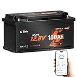 LiTime 12V 100Ah LiFePO4 Wohnmobil-Untersitz-Batterie mit Bluetooth & Smart BMS, Tieftemperaturschutz, Max. 15000 Zyklen, 100A BMS, 20.48kWh, DIN H8 L5 Größe, Blei-Säure-Ersatz, perfekt für RVs