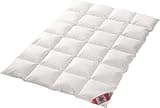 Schäfer Canada Daune Übergangsdecke 100% Daunen Kassettenstegbett 2-cm Innensteghöhe canadische Daune 100% Natur Daunendecke 200x200 cm direkt vom Bettenfachgeschäft
