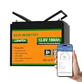 ECO-WORTHY 12V 100Ah LiFePO4 Bluetooth mit BMS Low Temperature Schutz,1280Wh Lithium Batterie 12V 100Ah Autobatterie für Wohnmobil,Wohnwagen,RVs