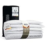 BEFA NATUR Made in Germany Daunendecke 135x200 cm aus 90% Daunen und 10% Federn, Sommerdecke, Allergiker geeignet(Nomite), Öko-Tex 100 Klasse 1 Zertifiziert, EN Standart 12934, Downpass