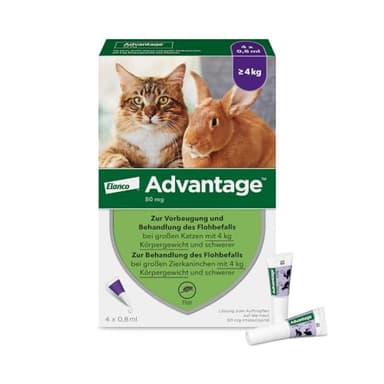 Elanco Advantage Spot-On 80 für große Katzen und Zierkaninchen ab 4 bis 8 kg, wirksamer Schutz vor Flöhen und Flohbefall bis 4 Wochen, einfache Spot-on-Anwendung, 4 Pipetten mit 0,8 ml Lösung