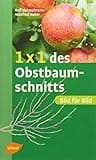 1 x 1 des Obstbaumschnitts: Bild für Bild