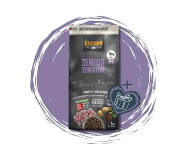 Belcando Senior Sensitive 12,5kg + 2x118g SwissBones - weizenfreies, sensitives Hundefutter für ältere Hunde mit moderatem Eiweißgehalt - Premium Hundesnack SwissBone Kauknochen - Bundle mit Goodie