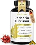 11-fach Berberin 500mg Komplex mit Kurkuma Cholin L-Carnitin Piperin Chrom Vitamin C aus Hagebutte & B6-180 Berberin Kapseln hochdosiert - 3 Monatsvorrat