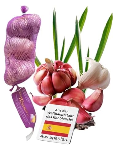 Pflanzknoblauch aus Spanien - Violetter Knoblauch zum selber pflanzen - Kräftig im Geschmack (250 g)