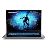 ERAZER Defender P50 43,9 cm (17,3" Zoll 100% sRGB 144Hz) FHD Gaming Laptop (Intel Core i7-13620H, 32GB DDR4 RAM, 2TB SSD, GeForce RTX 4060 8GB GDDR6, Win 11 Home)