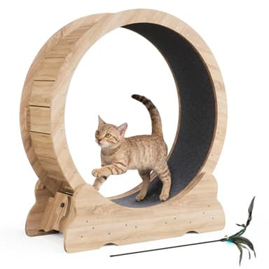 Mondeer Katzenlaufrad für Indoor-Katze, 90cm Laufband mit Abnehmbaren Teppichboden für Katzen Holzlaufrad Laufrad für Kleines Mittel Großes Katze Fitness-Gewichtsverlust-Gerät, Schwarz