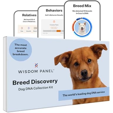 Wisdom Panel Breed Discovery 3.0: DNA-Test-Set für genaueste Rassen-ID | MDR1 | Ancestry | Verwandte