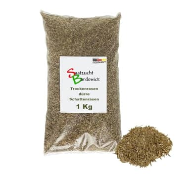 Rasen Dürreresistente Rasenmischung Schattenrasen 1kg für ca. 30 m² Gras Grassamen Rasensamen Nachsaat
