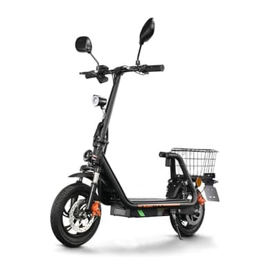 TWOFISH E Scooter mit Straßenzulassung(EEC), Elektroroller für Erwachsene mit 48V 13Ah Akku, 30 km Reichweite, Elektro Scooter mit 12 Zoll Reifen, 3 Geschwindigkeiten, M5-PRO-E (Schwarz)