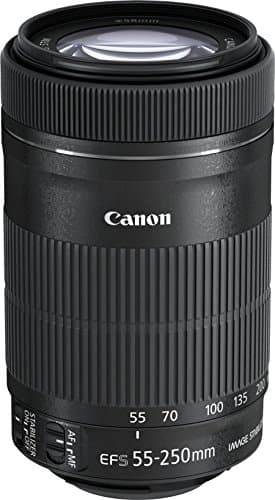 Canon EF-S 55-250mm 1:4-5.6 is STM Tele-Zoomobjektiv (58mm Filtergewinde) schwarz