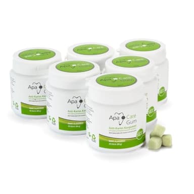 ApaCare Gum Anti-Karies Kaugummi mit Zahnschmelzmineralien | 6 Dosen