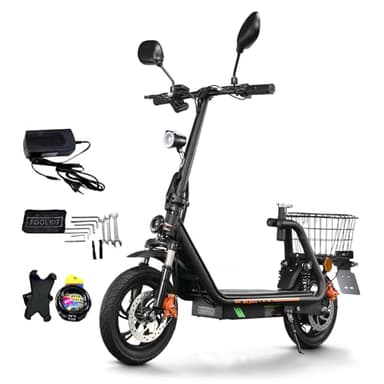 TWOFISH Elektroroller für Erwachsene, 500W E Scooter mit EEC Zulassung, 48V 13Ah Akku bis 30 km Reichweite, 12" Reifen, klappbarer Elektro Scooter mit Front- & Rücklicht, M5-PRO-E (Schwarz)