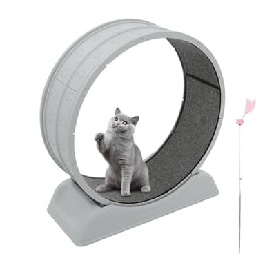 Katzenlaufrad 80cm – Großes & Silent Laufrad für Wohnungskatzen, Robuster Fitnessrad mit Sicherheitsschnalle, Teppich & Spielangel – Für alle Katzen bis 10kg (Grau)