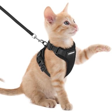 rabbitgoo Katzengeschirr mit Leine Schwarz Softgeschirr für Katze Brustgeschirr Cat Harness Katzengarnitur ausbruchsicher verstellbar Katzenweste Schwarz XXS