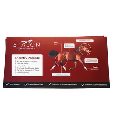 Etalon Diagnostics Equine Ancestry DNA Test Kit, Horse Breed Composition, Relative Finder, Inzuchtanalyse