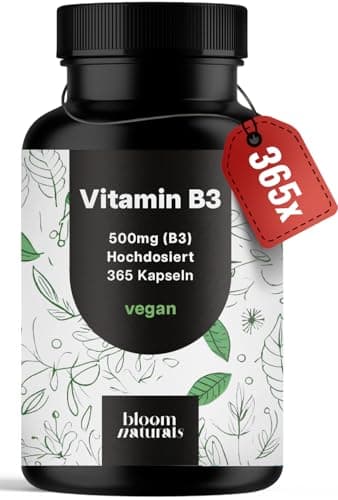 Vitamin B3 Niacinamide Hochdosiert - 365 Kapseln mit 500 mg pro Kapsel, vegan & Produziert in Deutschland - B3 Vitamin Niacinamid - Verpackung kann variieren - Laborgeprüft
