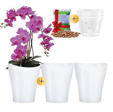 Garten lux 3er-Set Orchideentöpfe Weiß Ø16cm 2L mit 3er-Set Orchideentöpfe mit Drainagelöchen Ø14cm 1L aus Kunststoff und Tongranulat 2,5L für den Innenbereich