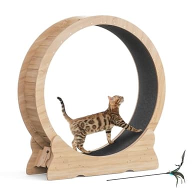 Mondeer Katzenlaufrad für Indoor-Katze, 110cm Laufband mit Abnehmbaren Teppichboden für Katzen Holzlaufrad Laufrad für Kleines Mittel Großes Katze Fitness-Gewichtsverlust-Gerät, Naturholz