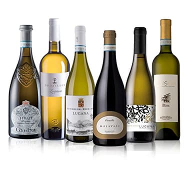 The Wine Guys The Wine Guys Probierpaket Sommerklassiker Lugana | Weinpaket mit italienischem Weißwein (6 x 0.75 l)