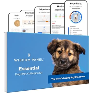 Wisdom Panel Essential – Hunde-DNA-Test für Ahnen, Rassen, Eigenschaften und Gesundheitstests