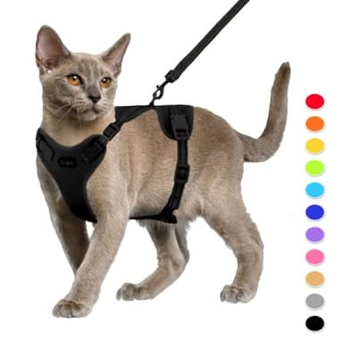 Supet Katzengeschirr und Leine Set Fluchtsicheres Kätzchengeschirr Verstellbares Katzenwestengeschirr mit Reflexstreifen Universelle Katzenleine und -Geschirr für Katzen/Welpen schwarz