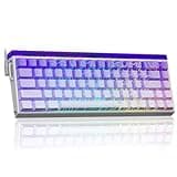 AULA Hero 68 Gaming Tastatur Mechanisch,Hall Effect Magnetic Switch,0.01mm Einstellbare Betätigung Rapid Trigger,8K Polling Rate,Seitlich Graviert,60% RGB Tastatur mit Kabel,QWERTY (Lila)