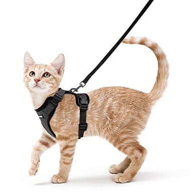 rabbitgoo Katzengeschirr mit Leine Softgeschirr für Katze Brustgeschirr Cat Harness Katzengarnitur Ausbruchsicher Verstellbar Katzenweste Schwarz XS