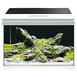 Croci Amtra MODERN Tank 50 LED - Aquarium komplett mit LED-Beleuchtung und Innenfilter/cm 50,5x25,5x40 / 40 Liter
