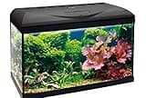 Amtra Basic 60 LED - Komplettes Aquarium mit 65 Litern, 8 Watt Beleuchtung, Innenfilter und Heizung, 60 x 32 x 42 cm