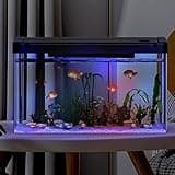 Crevyteg 12L Aquarium mit Filter und Licht, Rechteckiges Aquarium mit Filter und Sauerstoffzufuhr, LED-Licht, Mini Fischtank Tischdekoration für Zuhause, Büro, Wohnzimmer