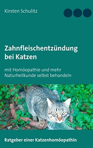 Zahnfleischentzündung bei Katzen: mit Homöopathie und mehr Naturheilkunde selbst behandeln