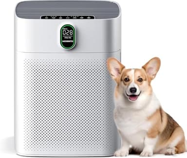 MORENTO Luftreiniger Allergiker mit HEPA Luftfilter gegen von Staub Pollen und Tierhaaren entfernen, CADR 300m³/h für 100㎡ Raucherzimmer,PM2.5 LED-Anzeige Air Purifier 24dB 1 Pack 2 Ersatzfilter