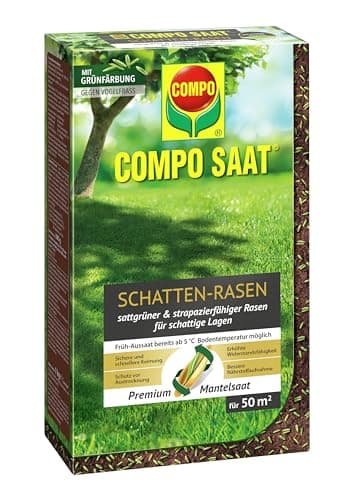 Compo SAAT Schattenrasen 1 kg