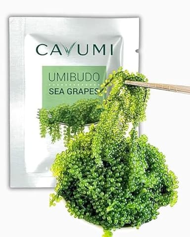 CAVUMI Sea Grapes 25gr / Meerestrauben als Algen Snack/Getrocknete Seealgen/Umibudo als knackiger Grüner Kaviar (25g_1er Pack)