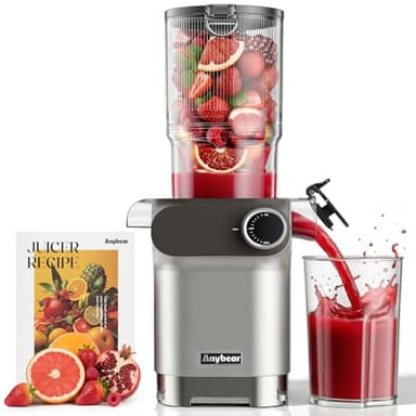 Anybear Entsafter 200W Slow Juicer mit 110 mm großem Einfüllschacht für ganze Früchte/Gemüse | Upgraded Schnecke | Tritan-Material | BPA-frei | Inkl. Saftrezepte (Silbern)