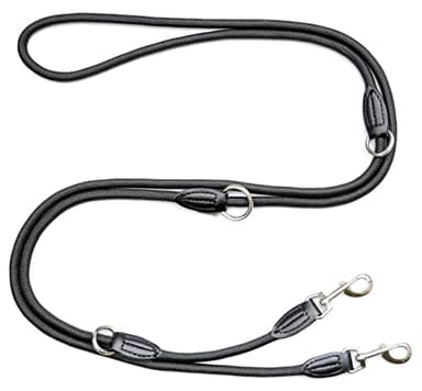 Leisegrün Verstellbare Hundeleine 3m - Robuste Nylon Doppelleine für mittelgroße bis große Hunde, 200kg Zugkraft, 2 Karabiner - Schwarz