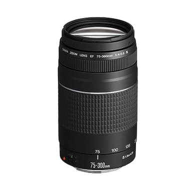 Canon EF 75-300mm F4.0-5.6 III Zoomobjektiv (58mm Filtergewinde) schwarz