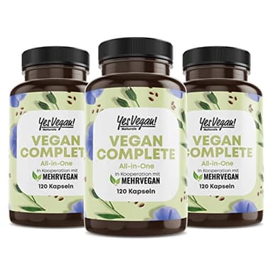 Vegan Multivitamin & Mineralien mit 14 Vitaminen u.a. B12, Jod, Eisen, Cholin (120 Kapseln hochdosiert) für Veganer & Vegetarier - Vegan Supplements - Multivitamin vegan