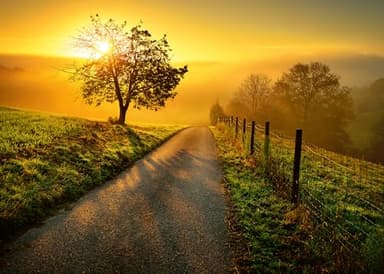 Ravensburger Puzzle 1000 Teile Landschaft in Morgensonne - Farbenfrohes Puzzle für Erwachsene und Kindern in bewährter Qualität