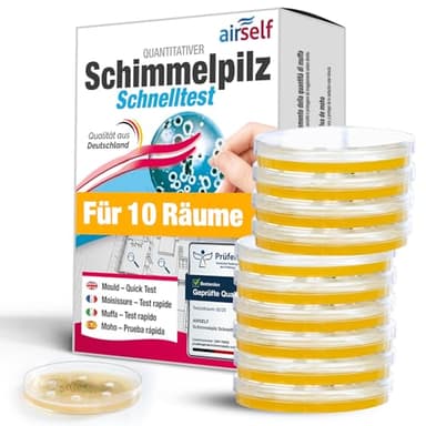 Schimmel-Test für Ihr Zuhause – Testen Sie bis zu 10 Räume – Schimmel-Schnelltest zur Einschätzung des Schimmelpilzbefalls in Innenräumen